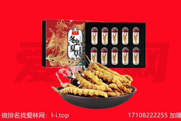 天津津南区回收虫草.jpg